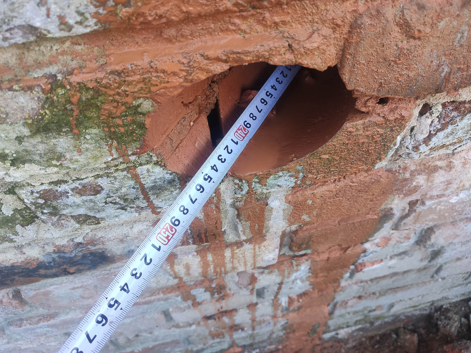 IMG_20230329_153753 1