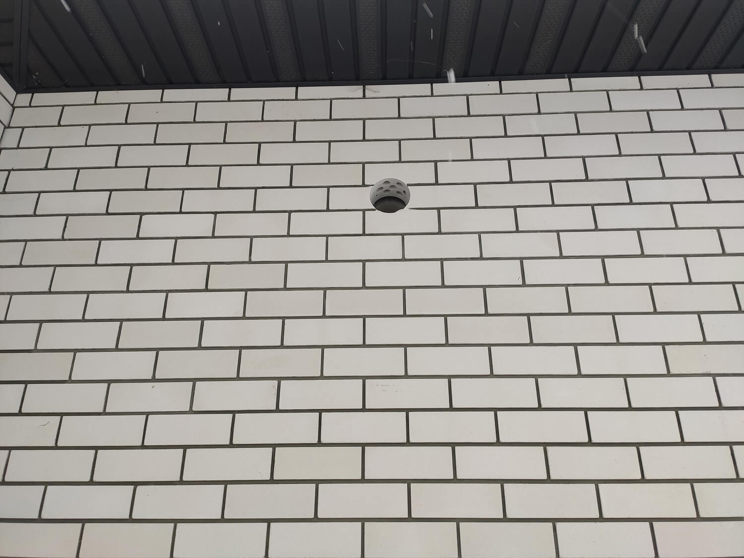 IMG_20240124_144628 1