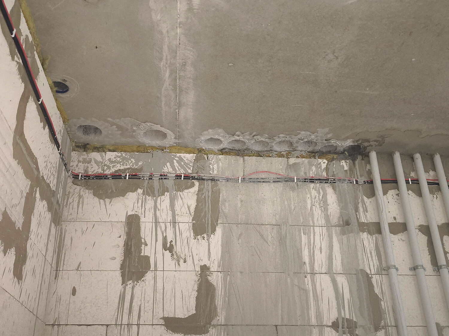 IMG_20250425_140918 1